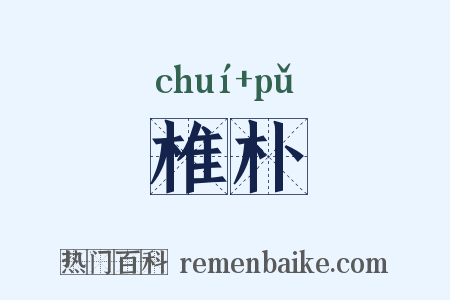 椎朴是什么意思的图片
